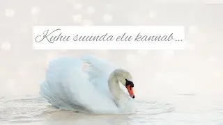 Kuhu suunda elu kannab🦢🤍🦢 Ajatu vali-kaart stiilis video💞