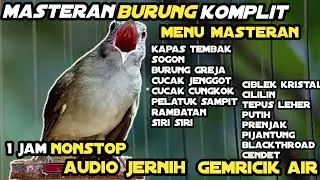 Masteran Audio Jernih Dengan Terapi Air 1 Jam Nonstop || Kumpulan Masteran Paling Dicari Kicau Mania