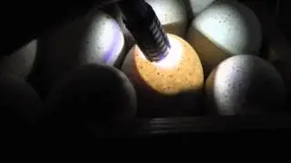 00010