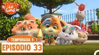 44 Cats Episode 33 - Robin's Great Rescue 🐦🐣✨🐾🔦 | Season 1