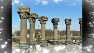 Загадка абрикосового дерева