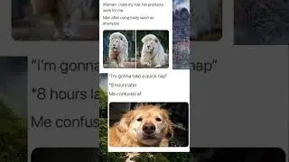 relatable memes#shorts#funny #memes