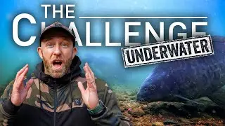 Underwater Special 🤿 | The Challenge with Mark Pitchers | Carp Fishing