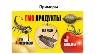 ГМО