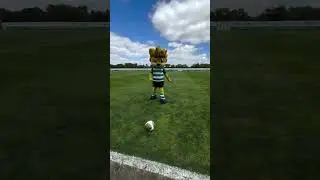 #Jubas