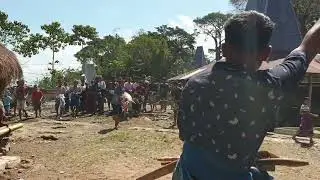 Pesta Adat Kampung Wanomutu ( loli atas )