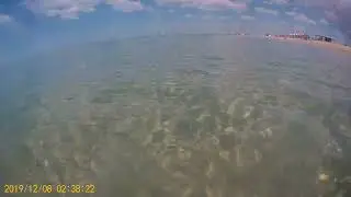 Дно и обитатели Черного моря у Крымских берегов