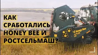Уборка рапса: жатка Honey Bee и комбайн Ростсельмаш