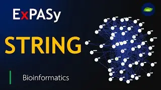 STRING Database ExPASy | Protein-Protein Interactions | Bioinformatics | Basic Science Series