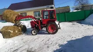 Т25 с куном