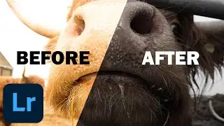 Want to edit your photos like this?