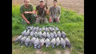 нарезка охоты на вяхеря и утиные будние !