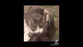 АЛОО....