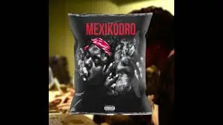 [FREE] PLUGG LOOP KIT / MEXIKODRO LOOP KIT - 