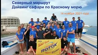 Дайвинг сафари в ноябре 2021 года! Север Красного моря! ДЦ Поток - Рязань!