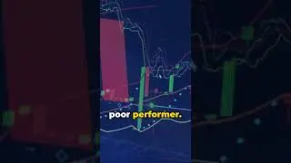 Market Volatility: A Guide for Investors