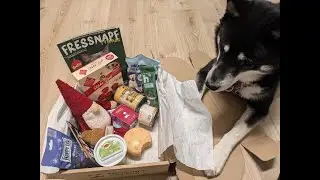 Fressnapf Waubox 🎅🍪 Dezember 2024 💙 | Hundebox Test | 🐺 Husky Goraidh 🐾