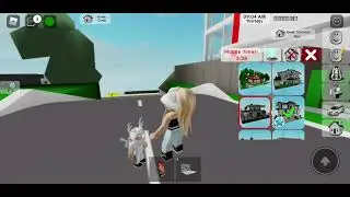 playing Brookhaven