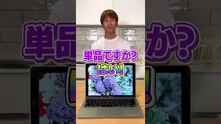 【WESTube】超難問！？濵田崇裕のアキネータークイズ！