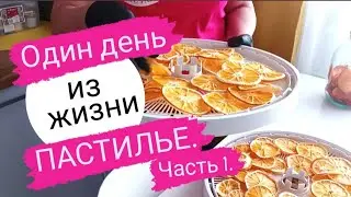 Один день с пастилье. Часть 1. Хранение пастилы и фрипсов.