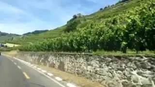 Swiserland. Vevey & Geneva