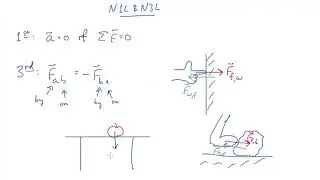 TAP 06: Newton's 1st and 3rd Laws