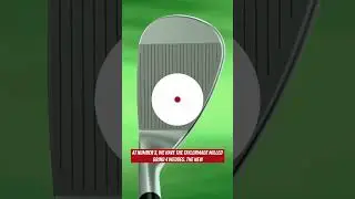 TOP 5 Wedges of 2024 