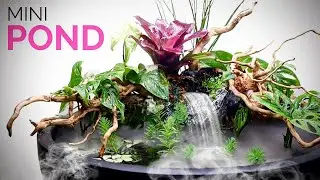 Exotic mini pond with misty waterfall
