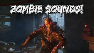 COD Zombies: Zombie Sounds