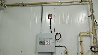 এলাম
