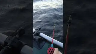 рыбалка на зимние удочки летом #рыбалка #fishing #shorts #tiktok #лещ #