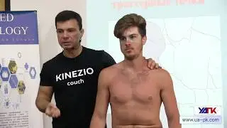 Мышечные цепи. КАК работать с цепями рук?