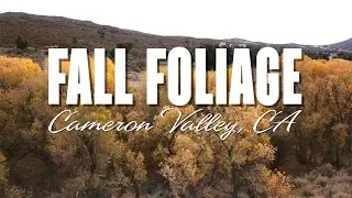 Fall Foliage: Cameron Valley, CA