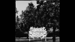 Suicidal Solitude - ...This wound fasters inside of me