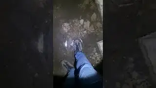 Der Bu ker in meinem Garten