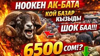 21.04.26 НООКЕН АК БАТА КОЙ БАЗАРЫ УШУНДАЙ БОЛДУ🤯🤯🤯🤯🤯