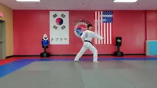 Little Tigers Basic Form #3