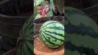 How to make watermelon Ice cream must  try it useful  trick  enjoyed