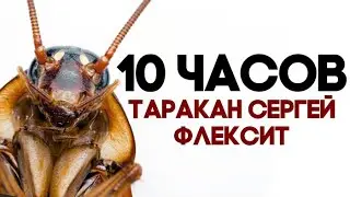 Таракан Сергей Флексит под ТАТАРСТАН Супер Гуд - 10 ЧАСОВ