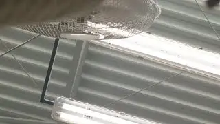 На Работе