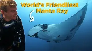 Scuba Diving with Giant Manta Ray!