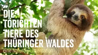 Die törichten Tiere des Thüringer Waldes - Eine Naturdokumentation (Luksan Wunder kommentiert)