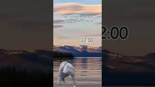 ну жиза #топ #мурманск #мир #россия