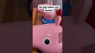 pig