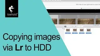How to copy images using Lightroom?