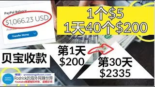 贝宝收款/任务网赚/在线调查赚钱/免费礼品卡/GPT/visa收款/银行卡网赚/全收款方式网赚/亚马逊礼品卡/prizerebel,idle empire,gpt1,gifthunter