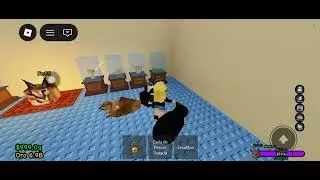 Raise a Floppa 2 | Roblox -  Basement