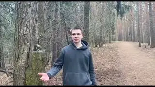 №8 Бозин Я., Алехнович В., Угольникова В., Каратеева А., 11«А» класс