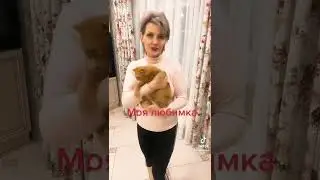 17 марта 2022 г.