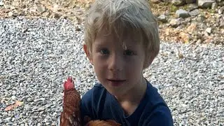 Chicken Nuggit